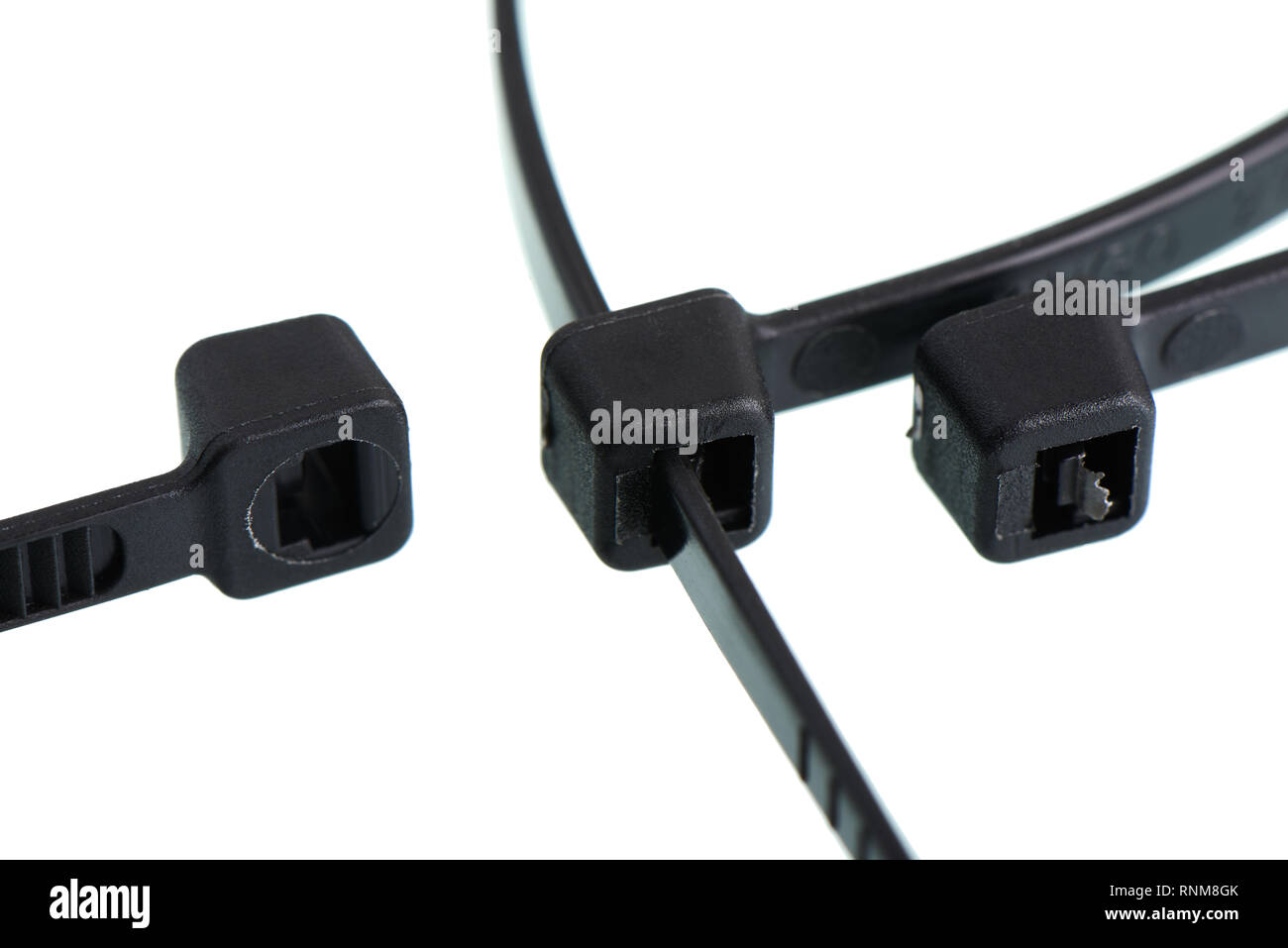 Close-up di testa della fascetta per cavi, isolato su sfondo bianco Foto Stock