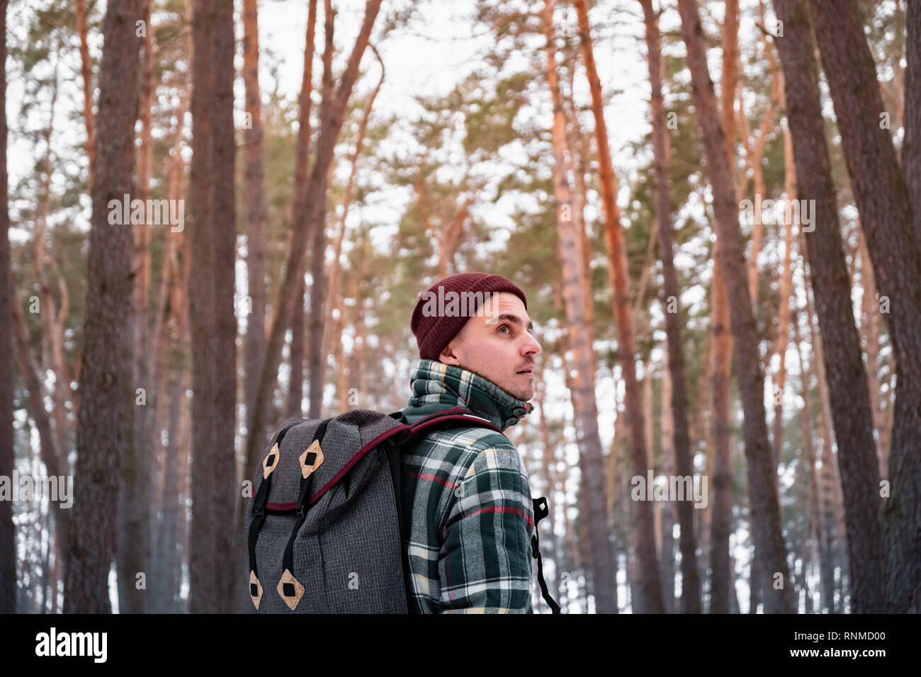 Escursionismo persona di sesso maschile in inverno foresta. Uomo in inverno a scacchi shirt passeggiate in splendidi boschi innevati Foto Stock