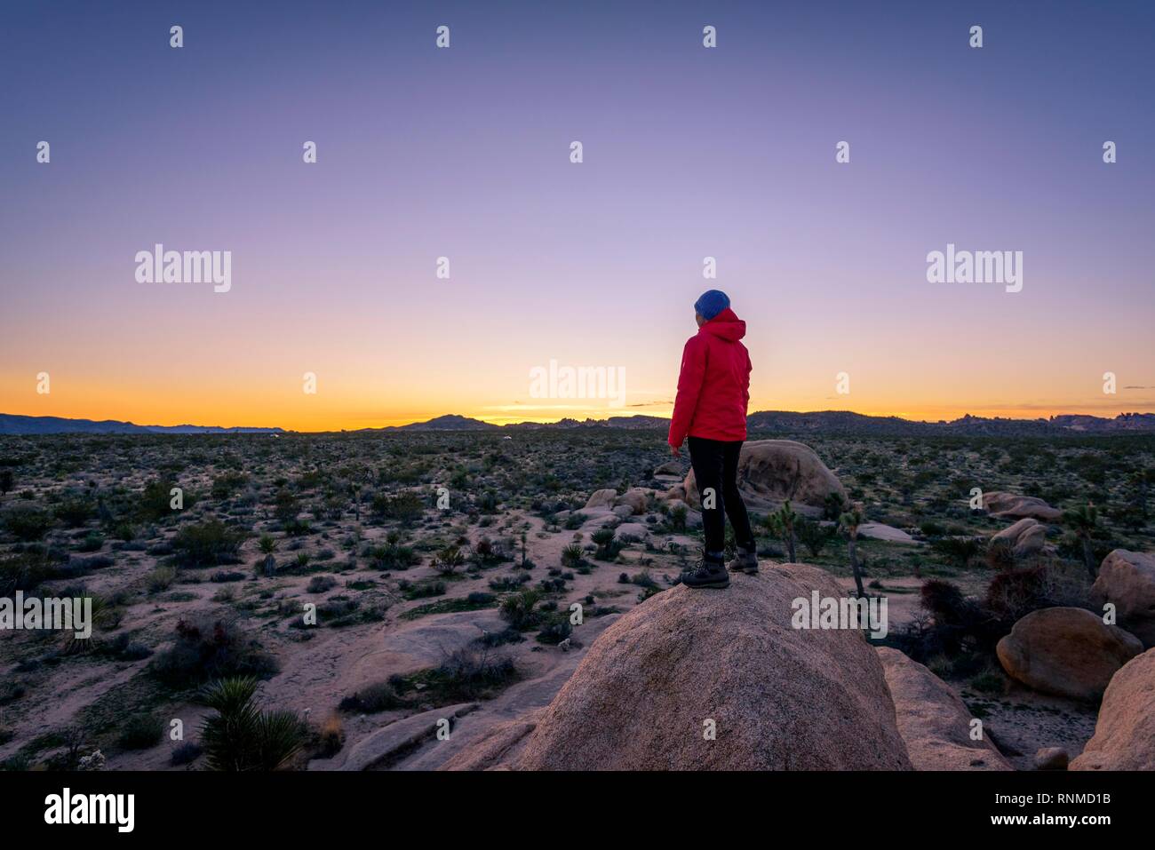 Giovane donna in piedi su rocce di granito, al tramonto, formazioni rocciose, Vasca bianca campeggio, Joshua Tree National Park Foto Stock