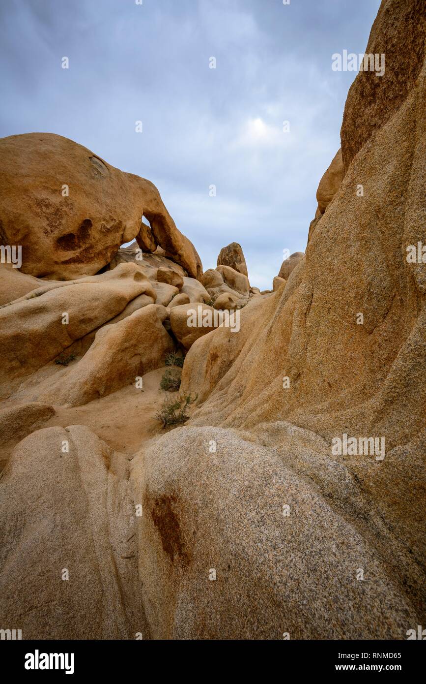 Le formazioni rocciose, posteriore sinistro Arch Rock, rock arch, monzogranite formazione, Arch Rock Sentiero Natura, Vasca bianca Campeggio Foto Stock