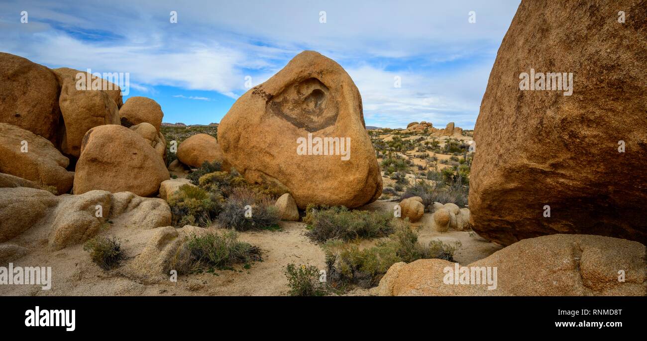 Rocce scolpite, formazioni rocciose, Monzogranite Formazione, Arch Rock Sentiero Natura, Vasca bianca Campeggio Foto Stock