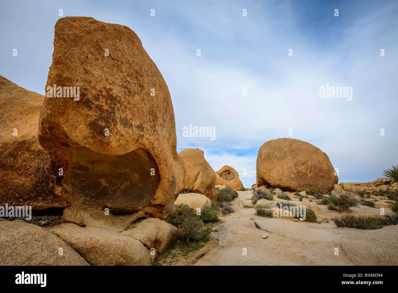 Rocce scolpite, formazioni rocciose, Monzogranite Formazione, Arch Rock Sentiero Natura, Vasca bianca Campeggio Foto Stock