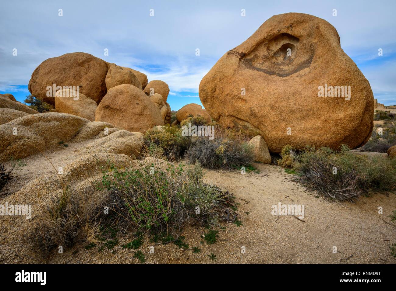 Rocce scolpite, formazioni rocciose, Monzogranite Formazione, Arch Rock Sentiero Natura, Vasca bianca Campeggio Foto Stock