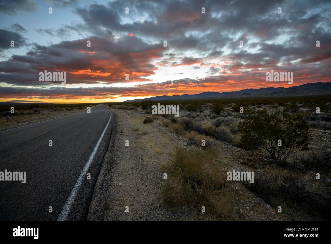 Drammatico tramonto sul paesaggio del deserto, country road, tramonto, Deserto Mojave, Mojave National Preserve, CALIFORNIA, STATI UNITI D'AMERICA Foto Stock