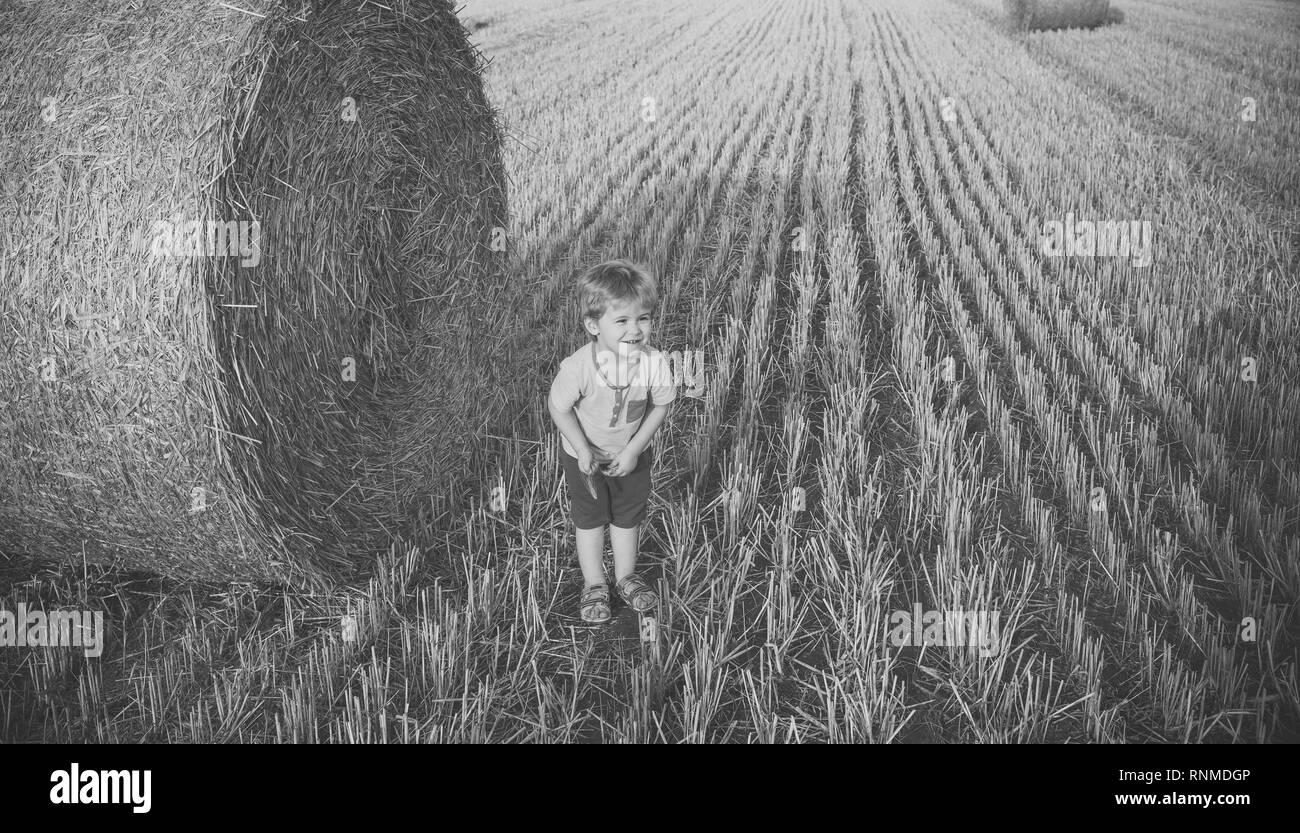 Ragazzo con il grano a pagliaio nel campo Foto Stock