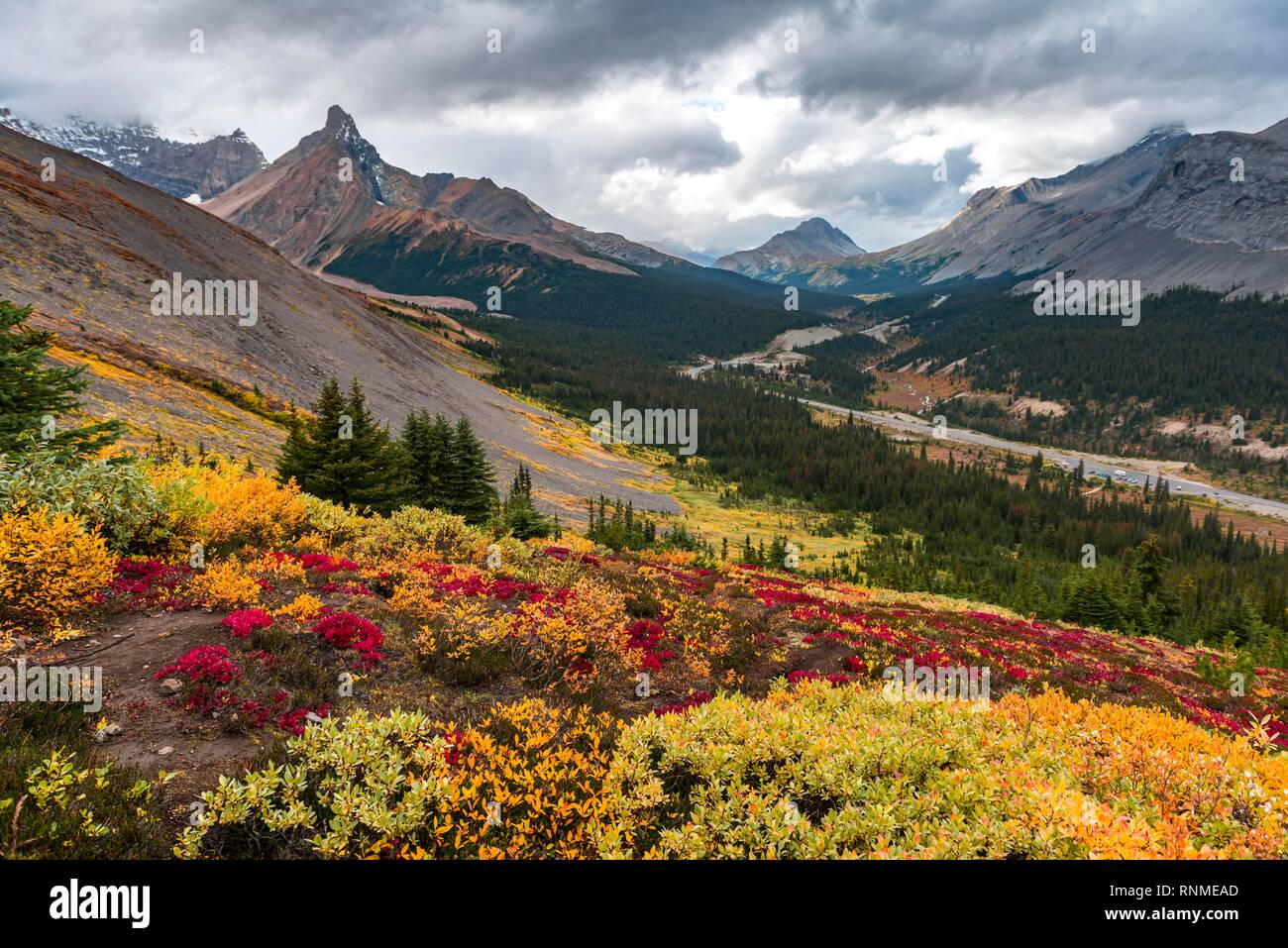 Vista di Mount Athabasca e Hilda picco in autunno, Parker Ridge, il Parco Nazionale di Jasper National Park, Canadian Rocky Mountains, Alberta, Canada, a nord di un Foto Stock