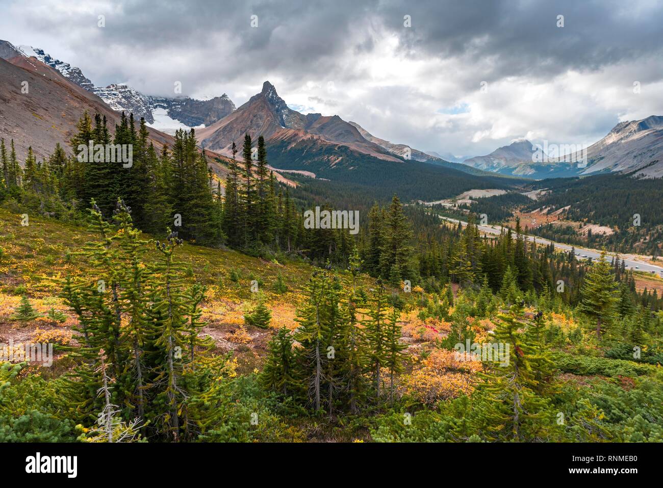Vista di Mount Athabasca e Hilda picco in autunno, Parker Ridge, il Parco Nazionale di Jasper National Park, Canadian Rocky Mountains, Alberta, Canada, a nord di un Foto Stock
