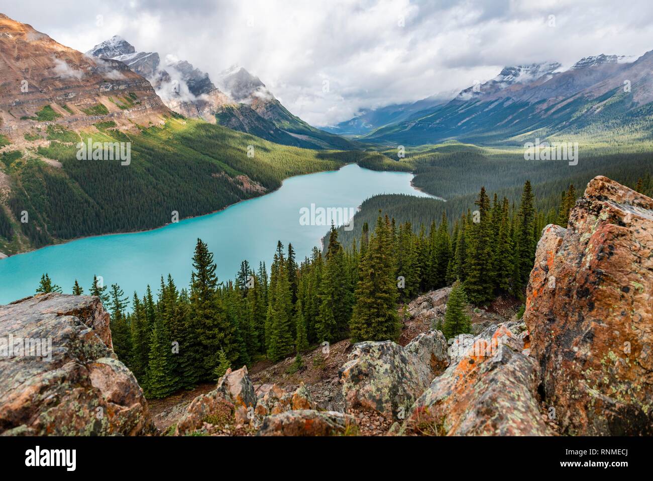 Nuvole appesi in picchi di montagna, turchese lago glaciale circondata da una foresta, il Lago Peyto Montagne Rocciose, il Parco Nazionale di Banff, provincia di Alberta, può Foto Stock