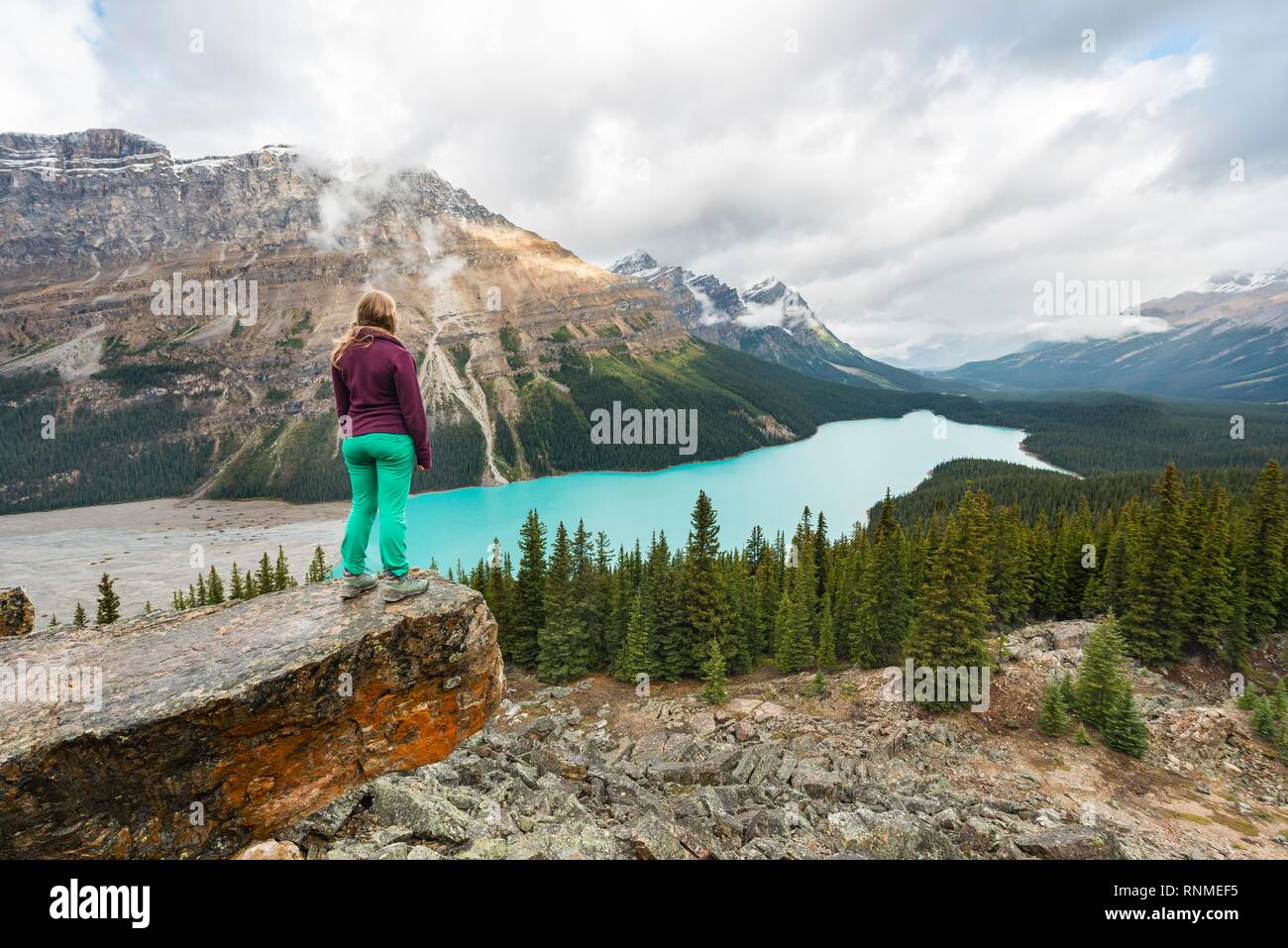 Escursionista si affaccia nella natura, turchese del lago, il Lago Peyto Montagne Rocciose, il Parco Nazionale di Banff, provincia di Alberta, Canada, America del Nord Foto Stock