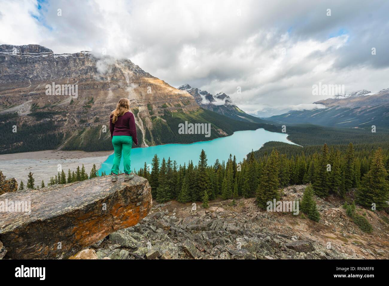 Escursionista si affaccia nella natura, turchese del lago, il Lago Peyto Montagne Rocciose, il Parco Nazionale di Banff, provincia di Alberta, Canada, America del Nord Foto Stock
