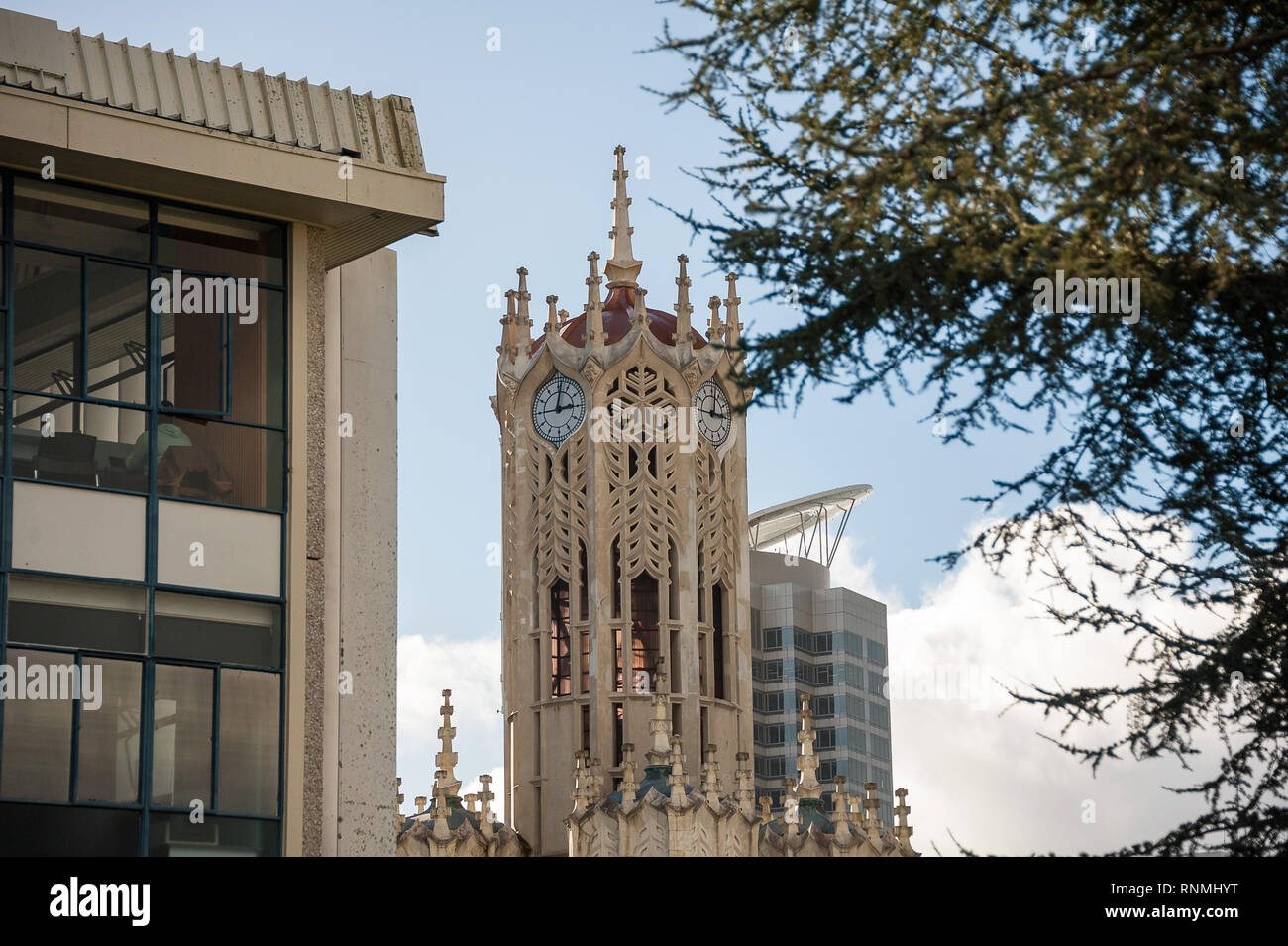 La torre dell orologio e vecchie arti e commercio edificio all'Università di Auckland. Vista con alberi e cielo blu sullo sfondo. Foto Stock
