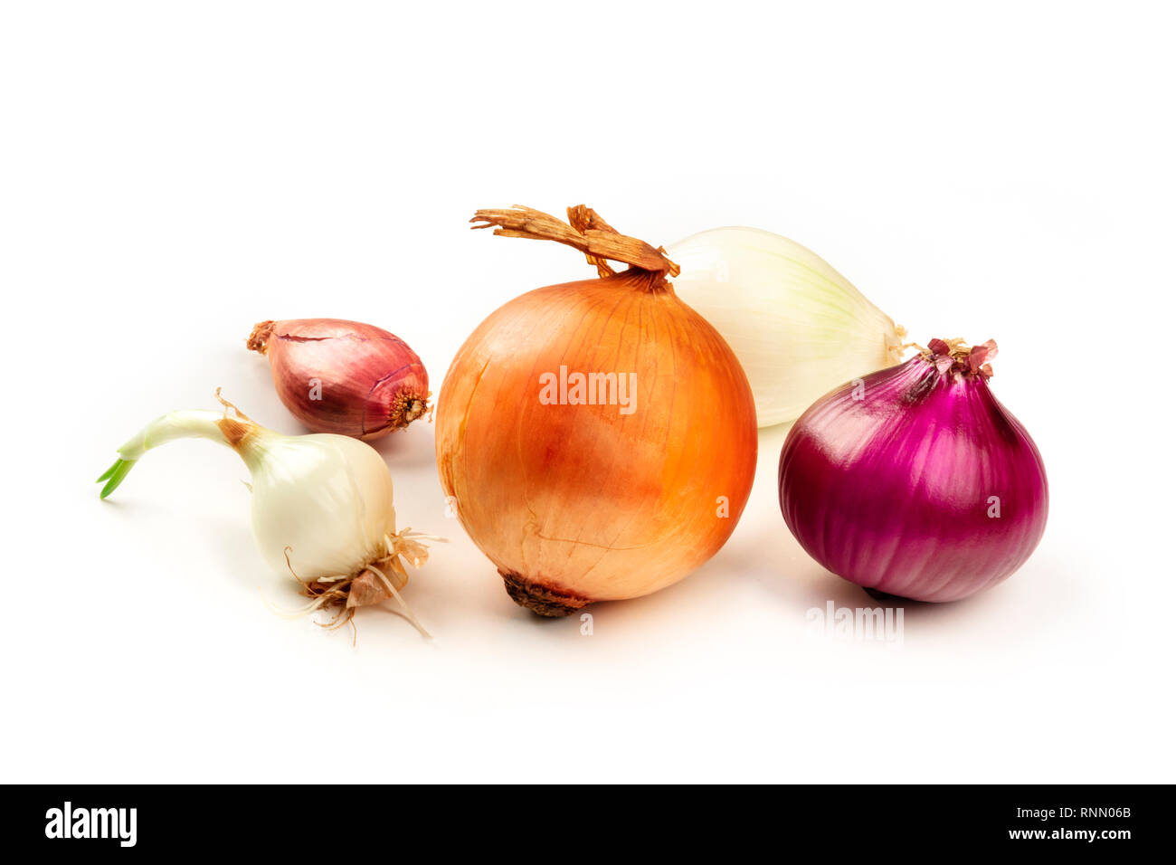 Un assortimento di vari tipi di cipolle di uno sfondo bianco con un posto per il testo Foto Stock