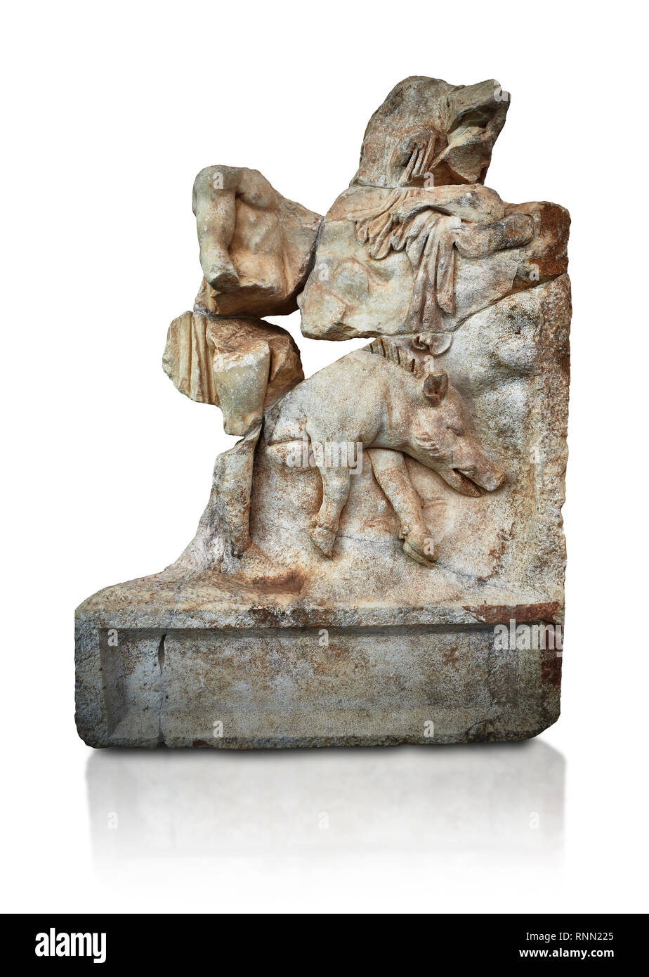 Sebasteion romana scultura in rilievo di Meleagro e un cinghiale Aphrodisias museo, Aphrodisias, Turchia. Contro uno sfondo bianco. Meleagro stands n Foto Stock