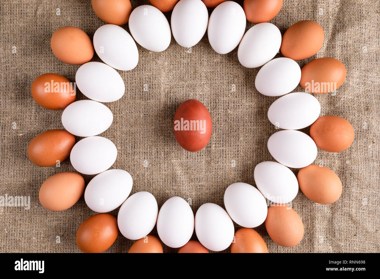 Bianco e Marrone di uova sono giacenti in cerchio con un uovo rosso in  centro su tela Foto stock - Alamy