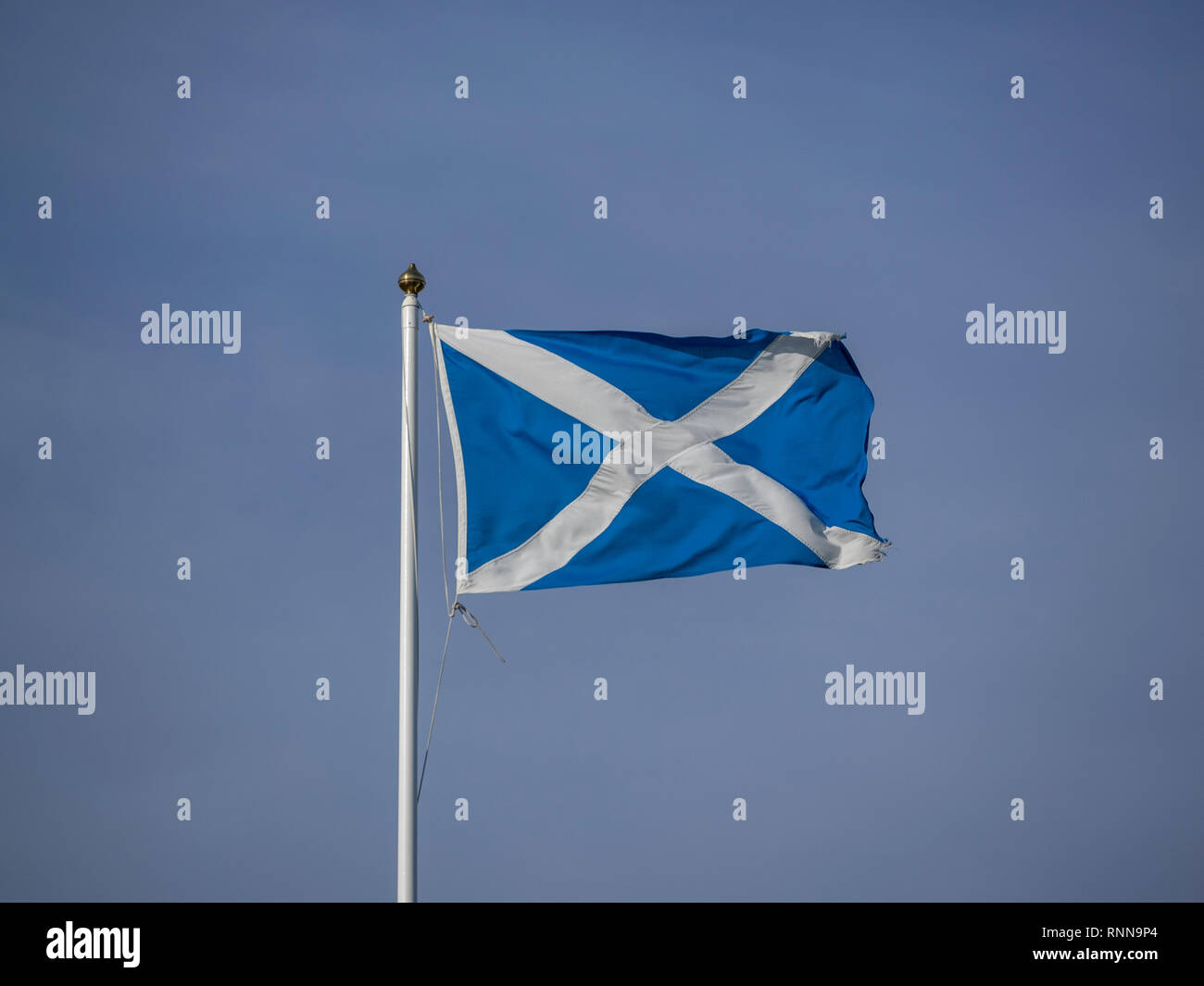 Saint Andrew's Cross o si intraversa e bandiera la pole in una giornata di vento a Fort George, vicino a Inverness, Scotland Foto Stock