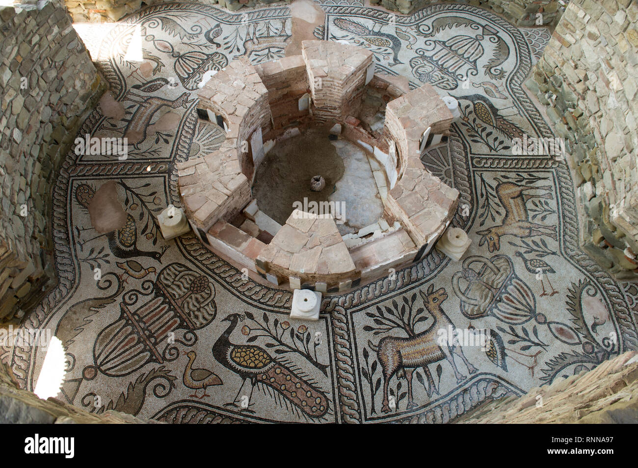 Mosaico, le rovine di Stobi, Macedonia Foto Stock