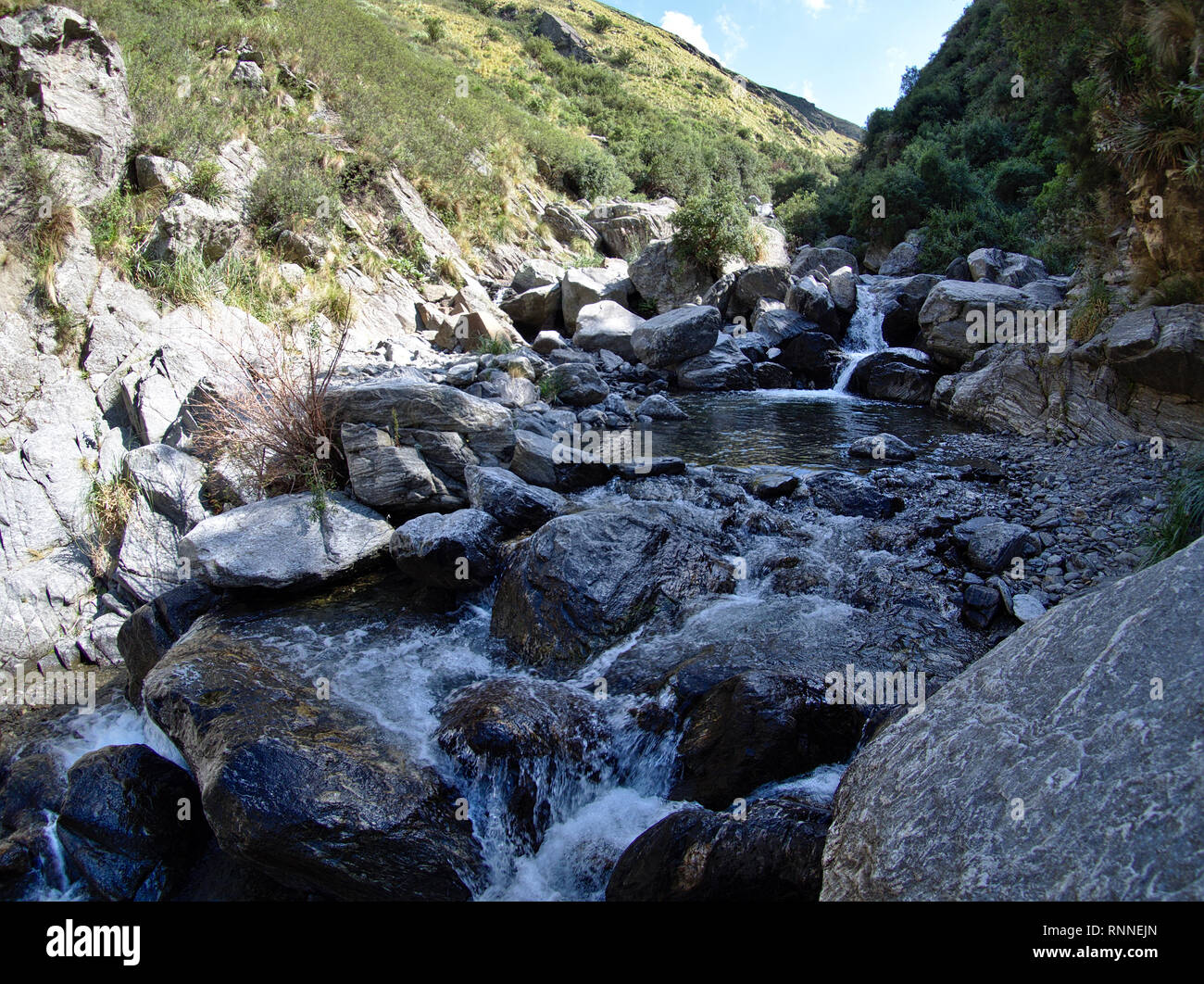 La vista a Reserva riserva Florofaunistica in Merlo, San Luis, Argentina. Foto Stock