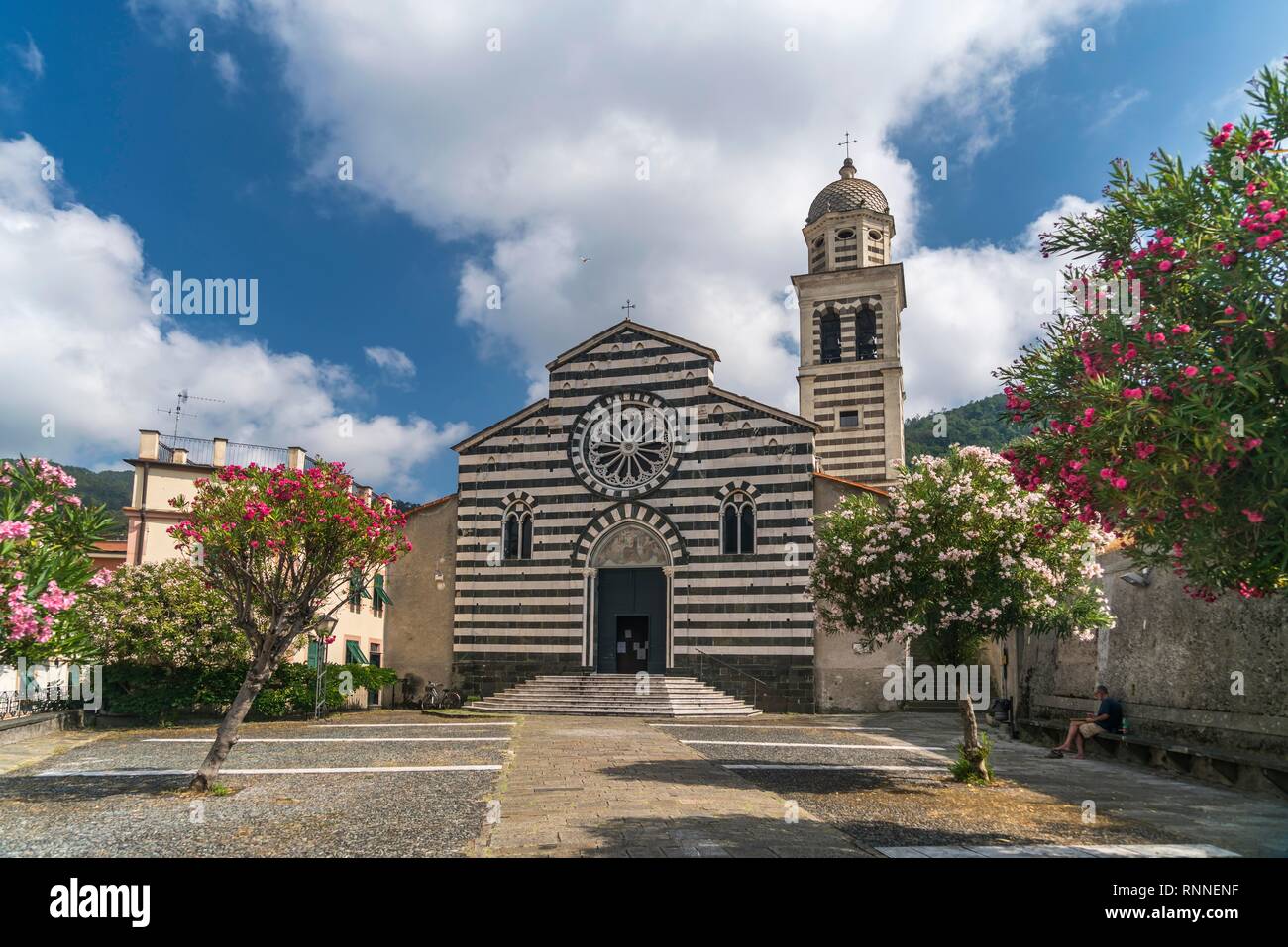 La chiesa gotica Chiesa di Sant'Andrea Apostolo, di fronte oleandri, Levanto, Riviera di Levante, Liguria, Italia Foto Stock