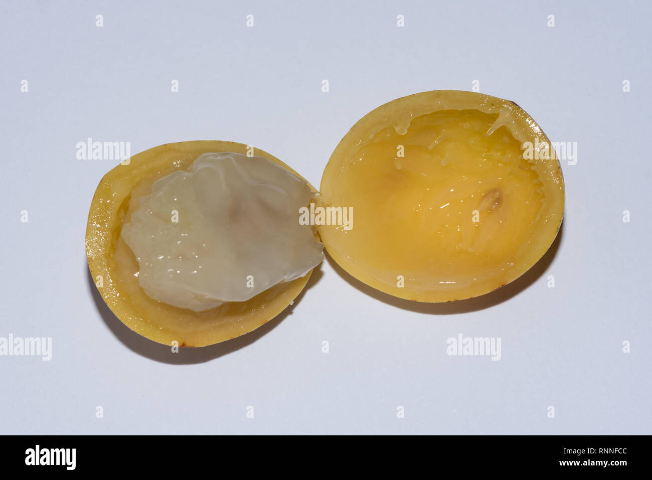 Un maturo frutta Marula affettato aperto per rivelare la polpa carnosa Foto Stock