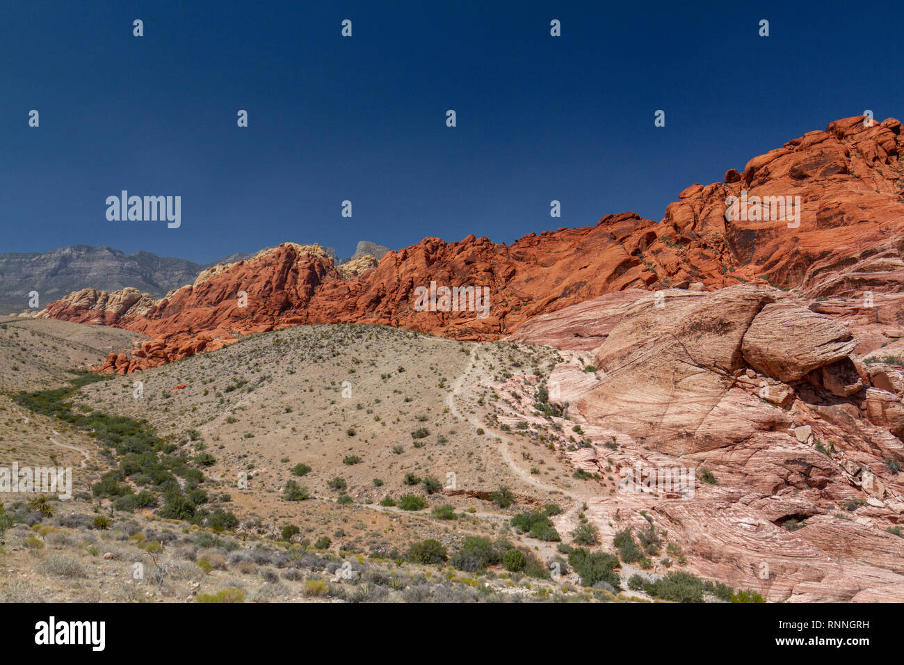 Il calicò colline, il Red Rock Canyon National Conservation Area, Las Vegas, Nevada, Stati Uniti. Foto Stock