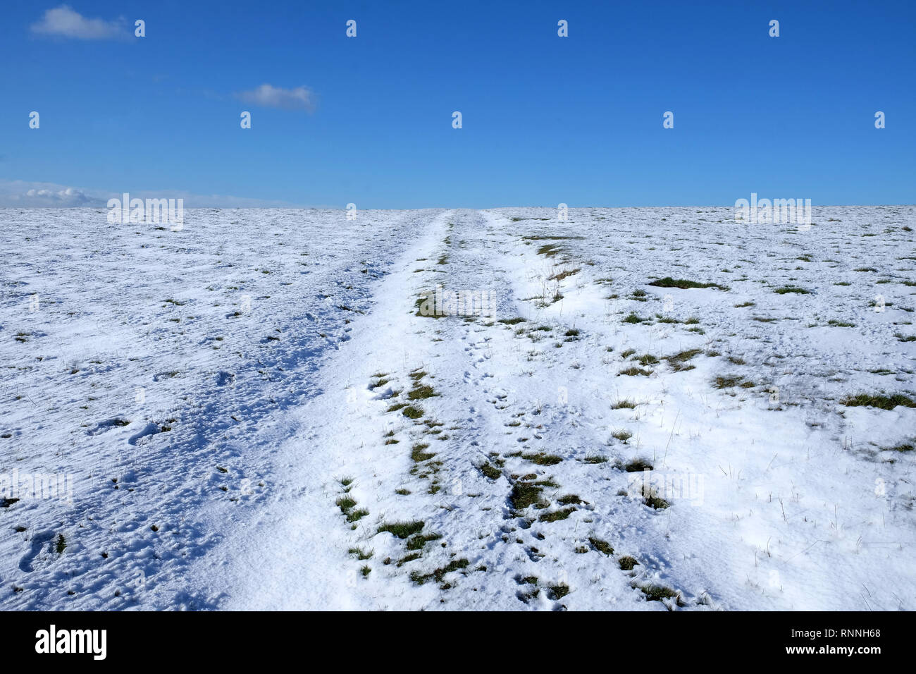 Il bianco della neve coperto la terra piatta, sopra è un cielo blu, spuntando attraverso il bianco della neve sono in tufo di erba verde, il trattino di una pista si estende fino la middl Foto Stock