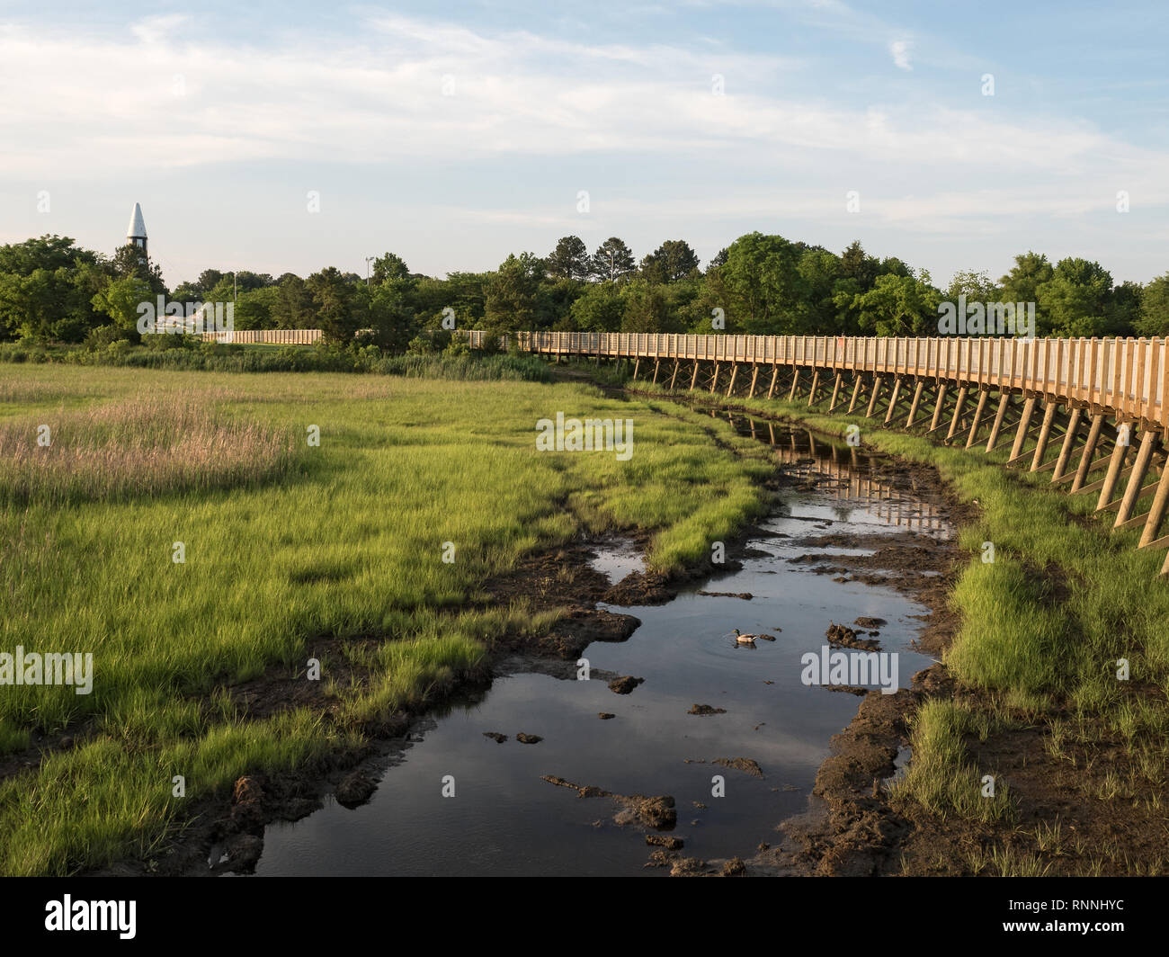 Newmarket Creek e marsh a Hampton, Virginia, mostrando il Boardwalk e alimentazione di aria nel parco la distanza. Foto Stock