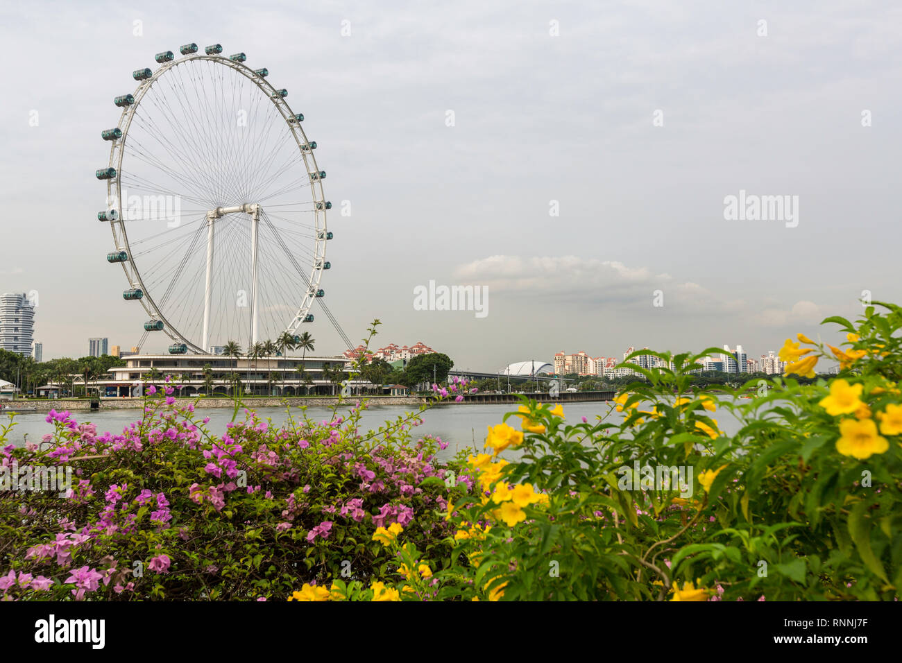Singapore Flyer Observation Wheel, Singapore. Foto Stock