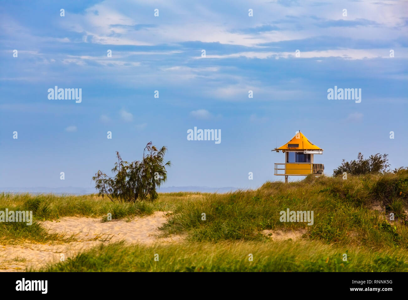 Bagnino giallo shack sulla Gold Coast, Australia Foto Stock