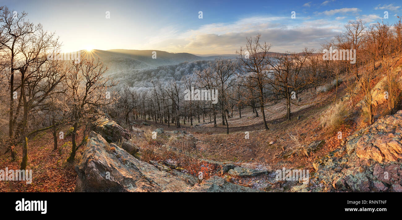 Congelare l'Alba autunnale, rocce ricoperte di polvere fresca neve. Stony rock peak è aumentato da foggy valley. Inverno misty sunrise in splendide rocce Foto Stock