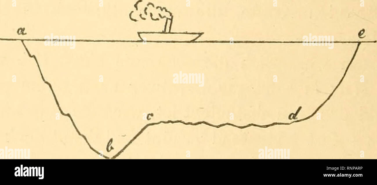 . Analytische Plankton-Studien. Ziele, Methoden und der Anfangs-Resultate quantitativ-analytischen Planktonforschung. Il plancton. "Wie Aveit es sich hebt, das hängt von dem dritten oben erwähnten fattore, welcher die Kraft II b beeinflusst, ab. Wenn Widerstand, Geschwindigkeit und Gewicht gleich bleiben, così ist, wie aus figura 4 hervorgeht, die hebende Fi- 4 Il Kraft.a um in modo grösser, je kleiner der Winkel un ist, den die Verbindungslinie von Netz und Befestigungspunkt des Taues mit der Verticalen bildet. Indem sich das Netz hebt, wächst un, während II a kleiner und kleiner wird. Sobald es gleic Foto Stock