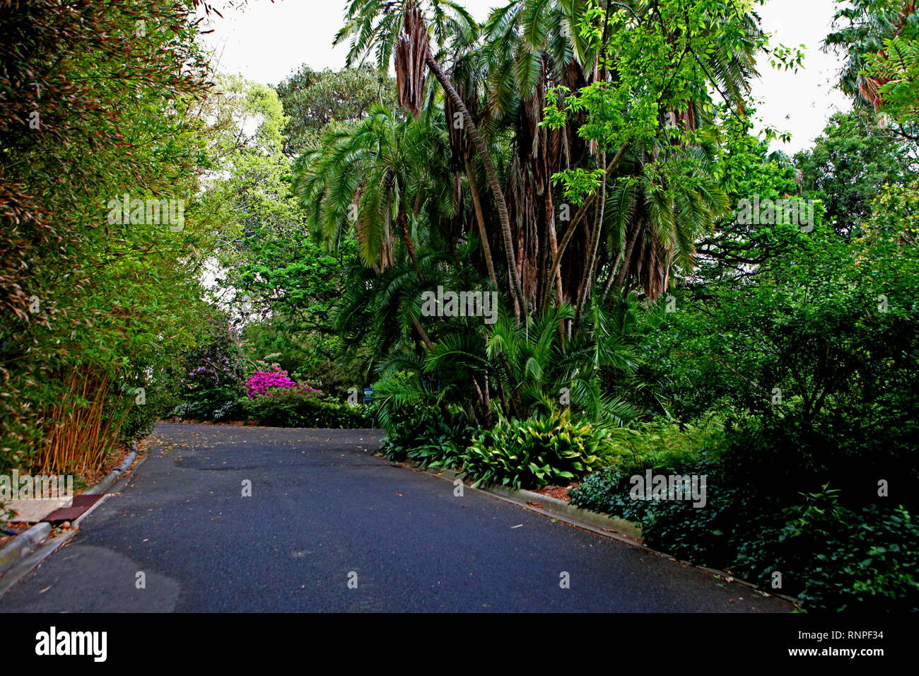 Royal Botanic Gardens Victoria a Melbourne e Cranbourne Foto Stock