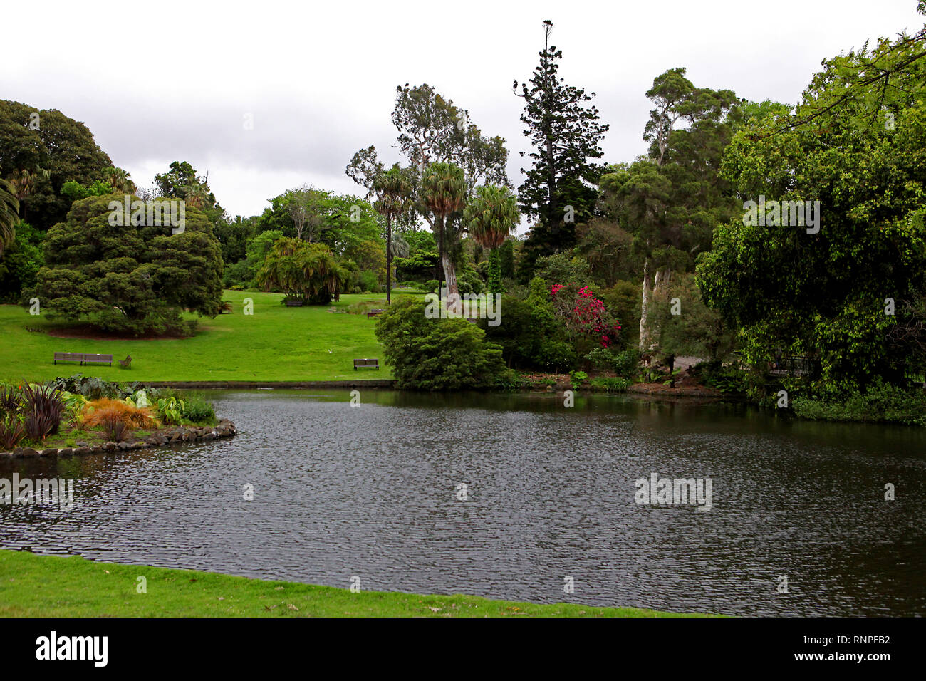 Royal Botanic Gardens Victoria a Melbourne e Cranbourne Foto Stock