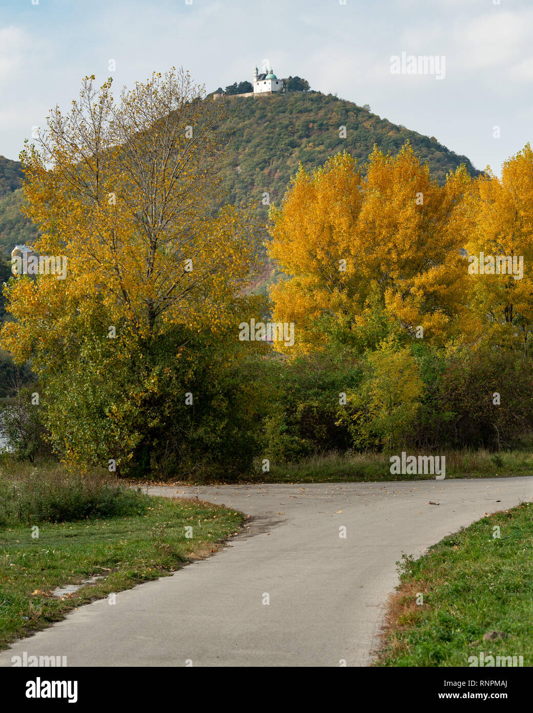 Il Fiume Danubio e Leopoldsberg (Austria) in un giorno nuvoloso in autunno, foglie colorate Foto Stock