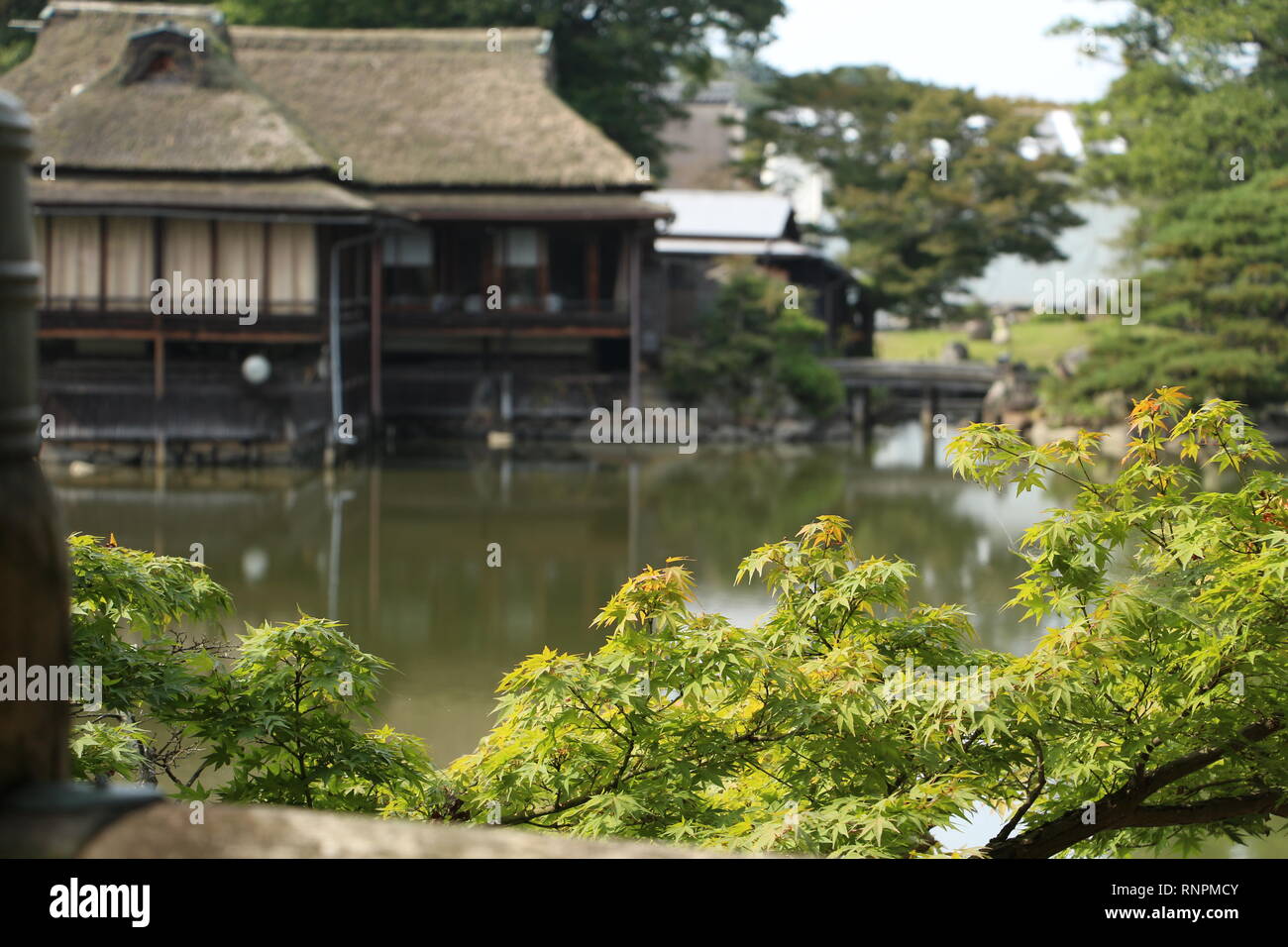 Giardino di un castello giapponese Foto Stock