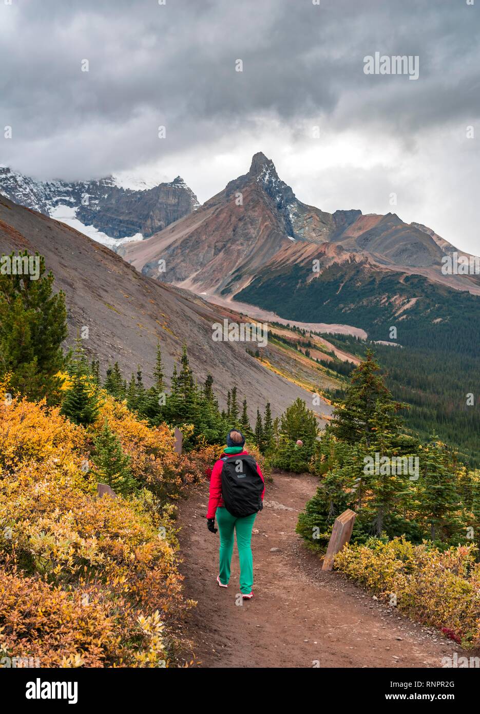 Vista di Mount Athabasca e Hilda picco in autunno, escursionista sul sentiero in cresta Parker, Jasper National Park PARCO NAZIONALE, Canadian Rocky Mounta Foto Stock