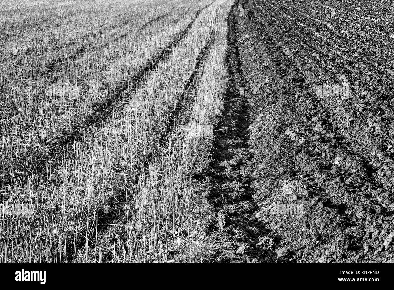 Terreno arato e prato, Germania, Europa Foto Stock