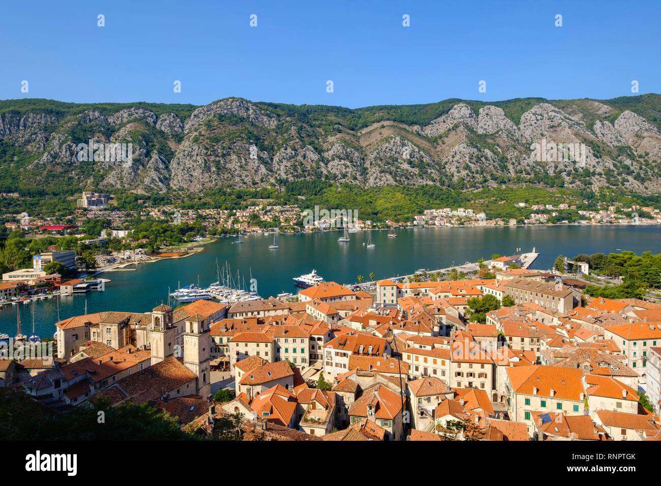 Città vecchia di Kotor, Baia di Kotor, Montenegro Foto Stock