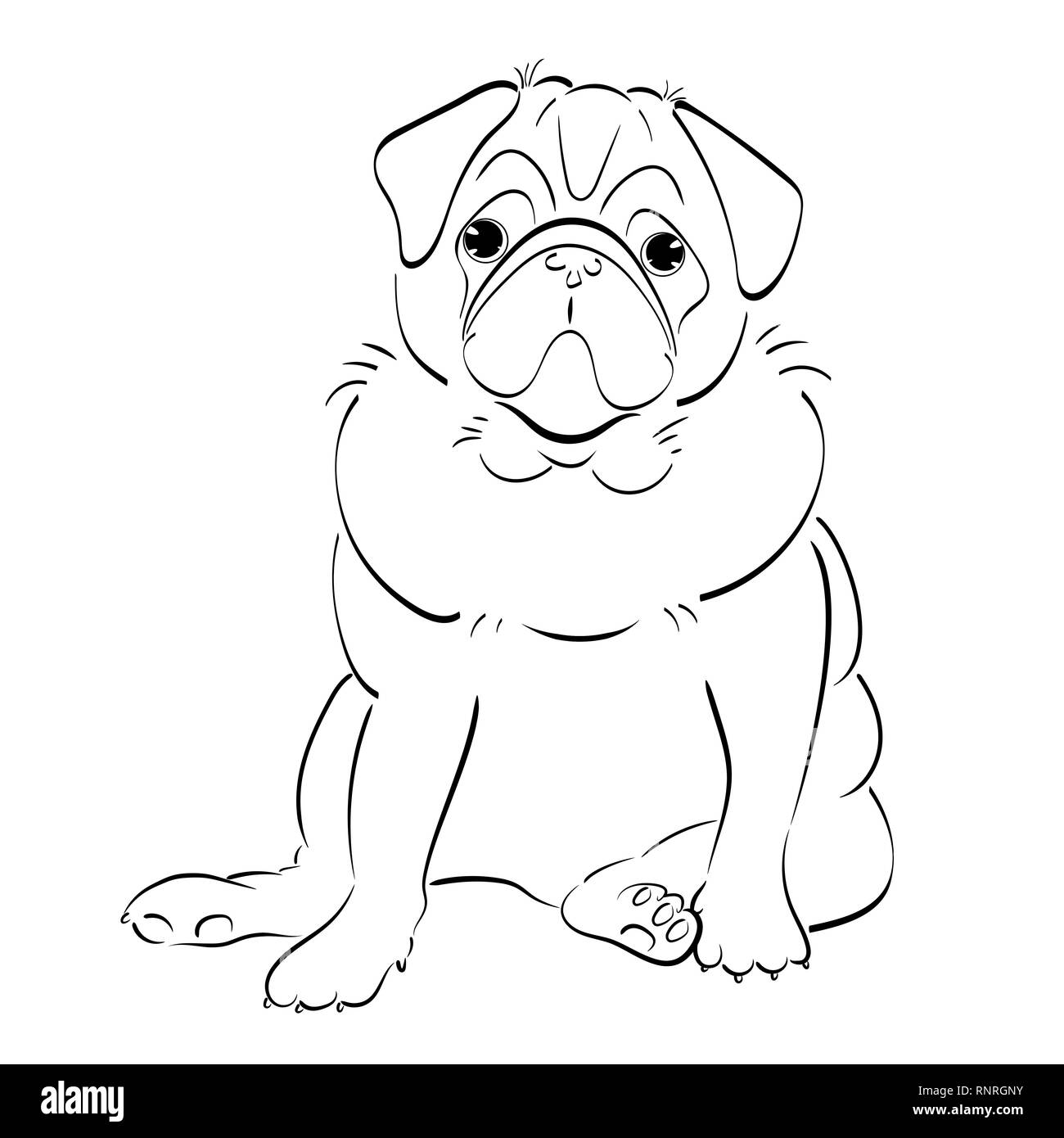Disegnato a mano arte linea pug dog, isolati su sfondo bianco Foto Stock