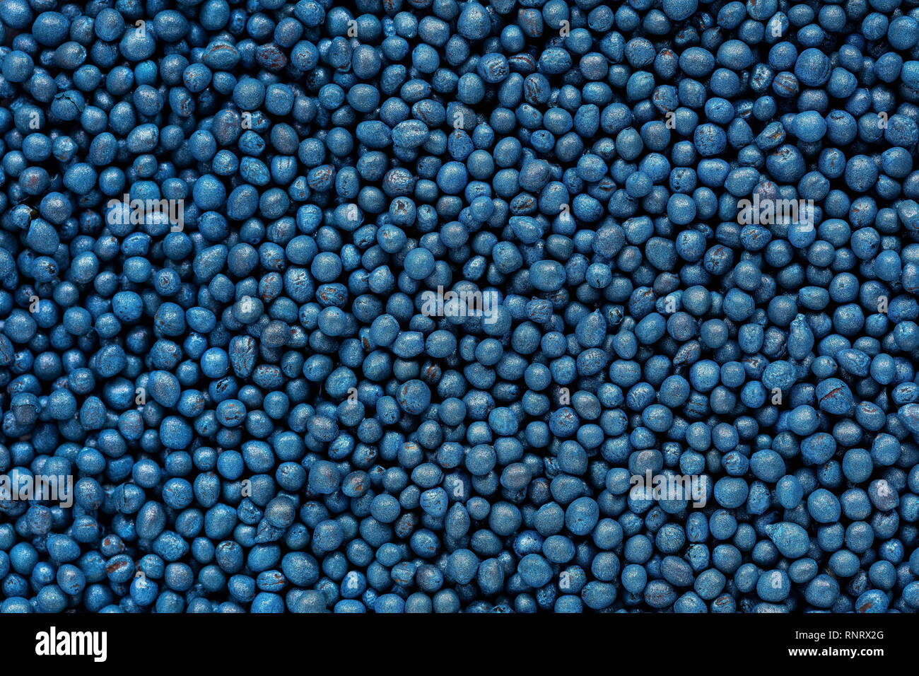 Alta qualità delle sementi di cavolo, vegetali in una trama di forma per il vostro meraviglioso giardino. Può essere utilizzato da produttori di sementi. Foto Stock