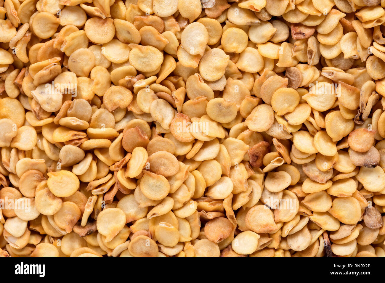 Alta qualità delle sementi di peperoni dolci, in una forma di texture per il vostro meraviglioso giardino. Può essere utilizzato da produttori di sementi. Foto Stock