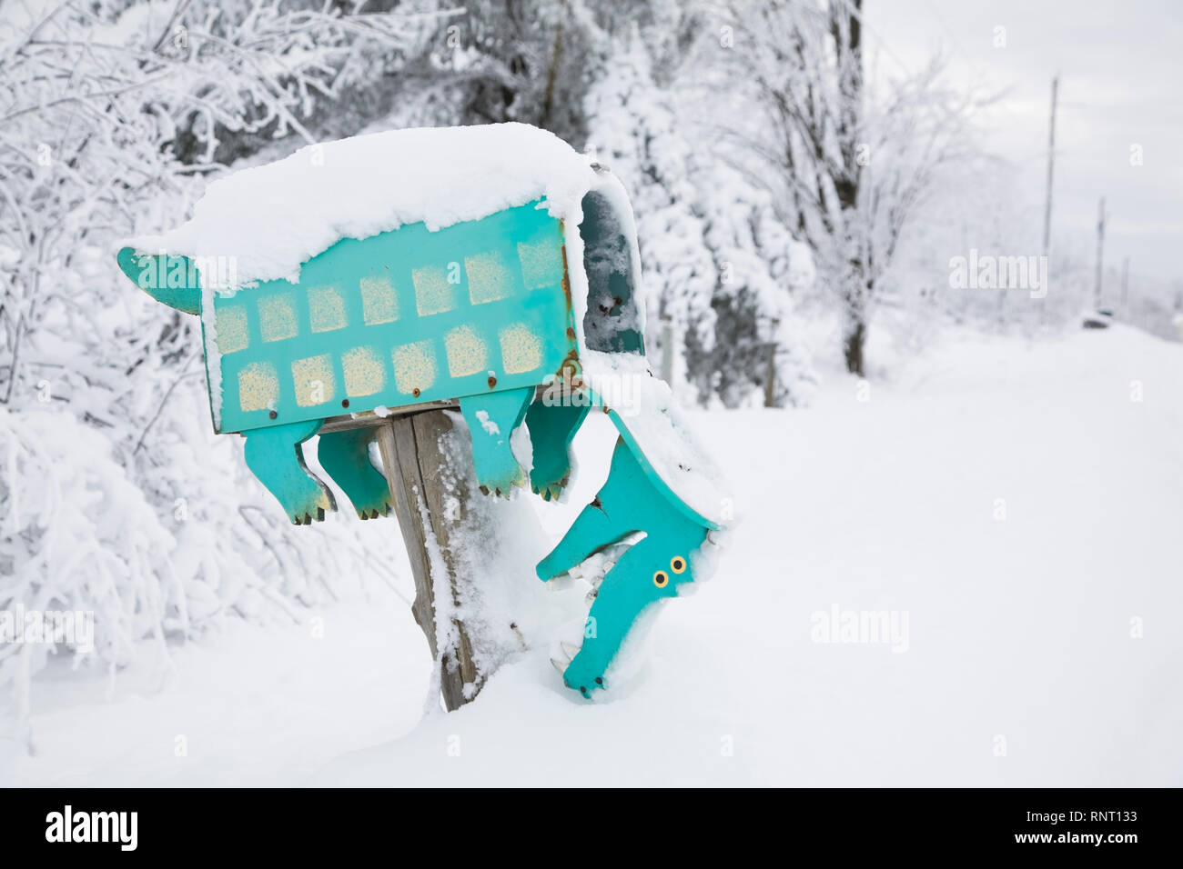 A forma di coccodrillo mailbox coperte di neve Foto Stock