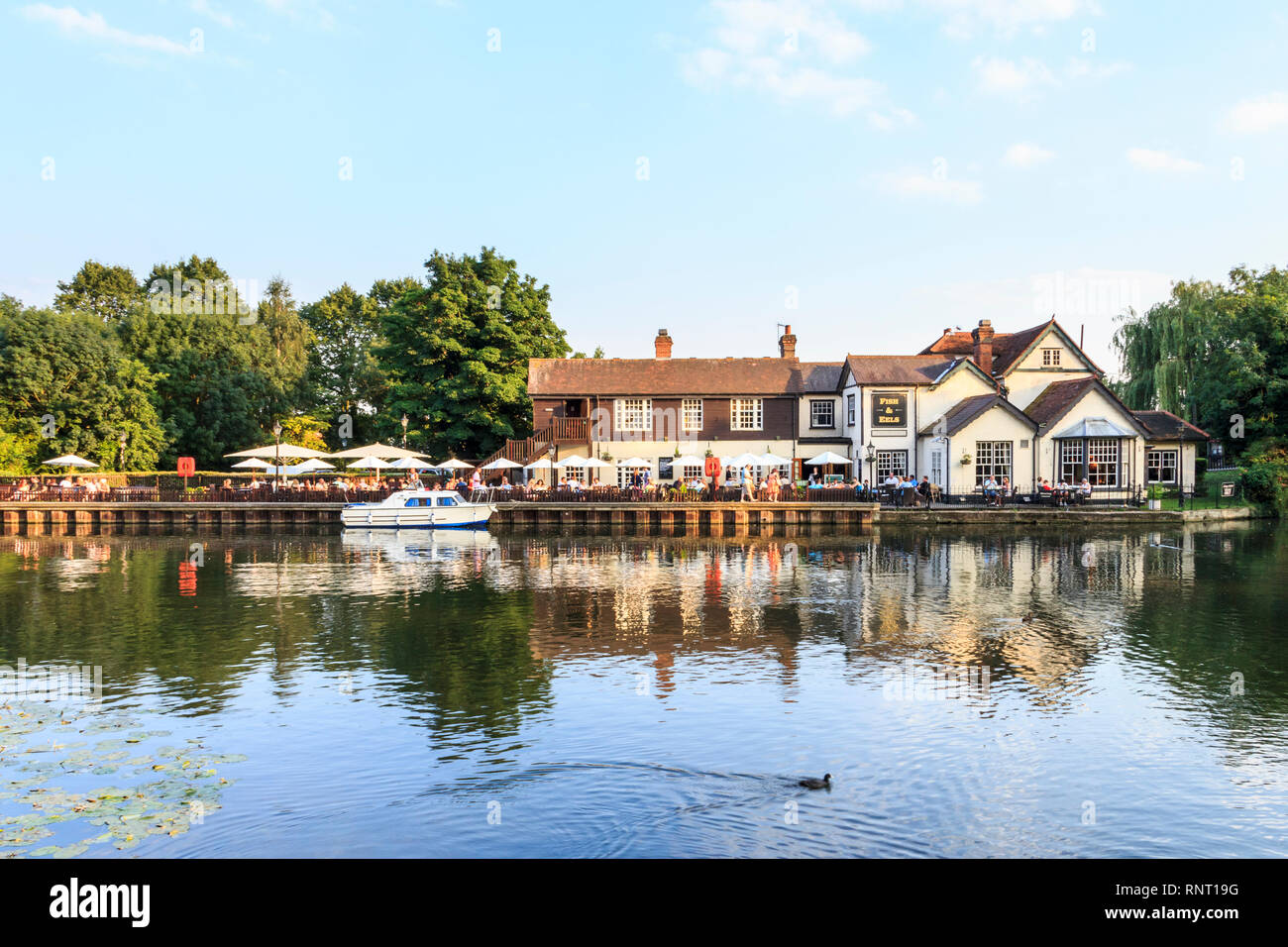 Il pesce e anguille public house dal fiume Lea, Dobb's Weir, Hertfordshire, Regno Unito Foto Stock