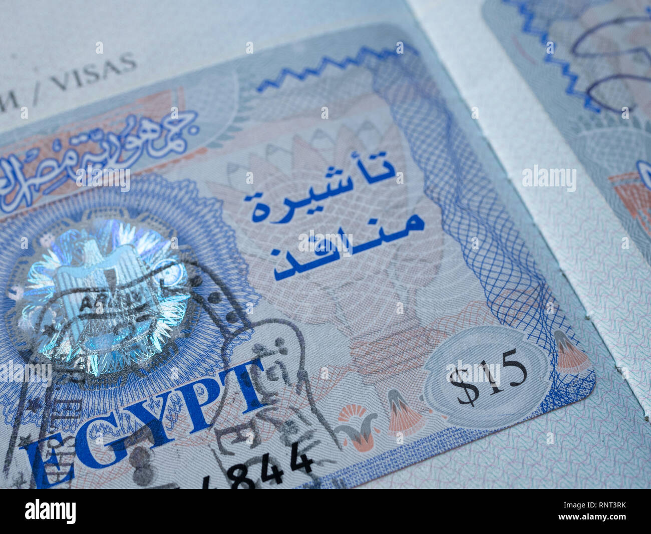 Egitto visto in corrispondenza estera passaporto internazionale. close-up con immagine 15 prezzo in dollari Foto Stock