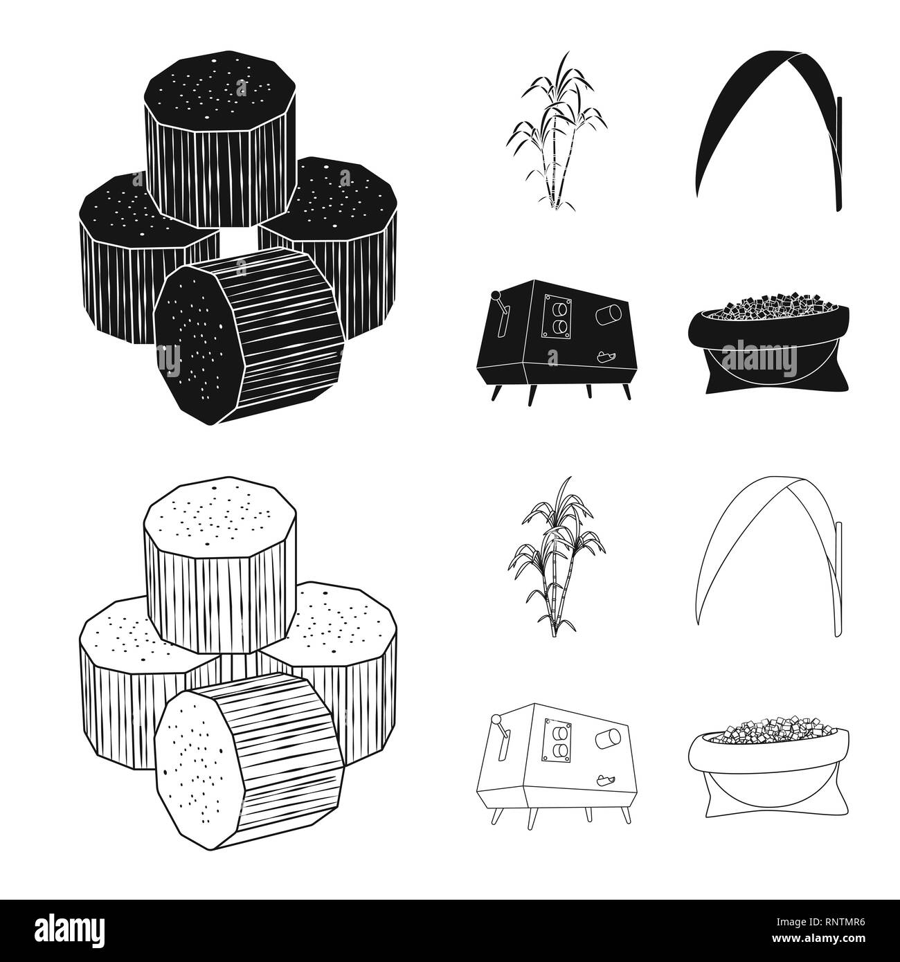 Pezzo,bush,foglie,spremiagrumi,cube,palm,verde,macchina,granulata,marrone,crescita,materie,automatico,jaggery,ramo,materiale,metalli,blocco,succhi di frutta,stock,contenitore in plastica,,organici naturali,,sacco,l'india,pilastro,APPARECCHIATURA,polvere,l'africa,agriturismo,l'agricoltura,saccarosio,technology,la canna da zucchero, di canna da zucchero,,campo,impianto,plantation,impostare,vettore,icona,immagine,isolato,raccolta,design,l'elemento,graphic,segno vettori vettore , Illustrazione Vettoriale