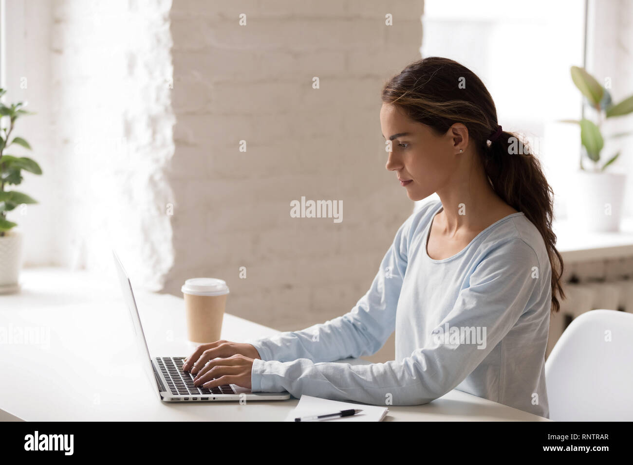 Femmina concentrato seduti al posto di lavoro sms utilizzando notebook Foto Stock