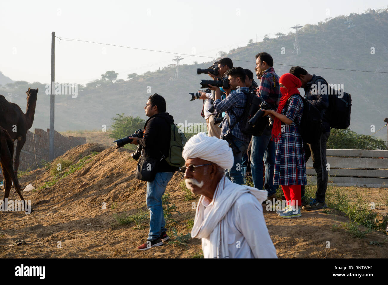 Fotografi a Pushkar Camel Fair in Rajasthan, India Foto Stock