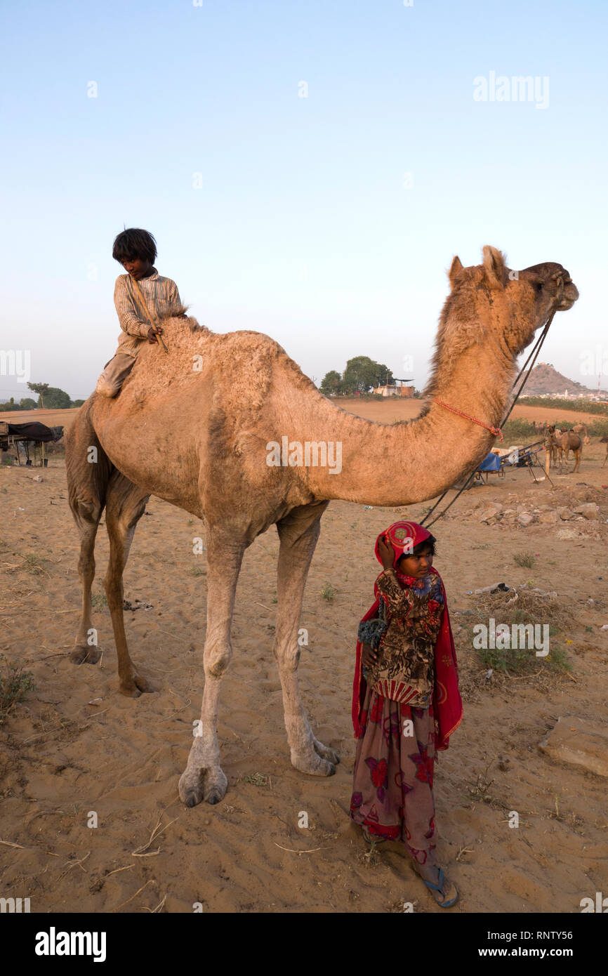 Raika bambini nomadi e cammello a Pushkar Camel Fair in Rajasthan, India Foto Stock