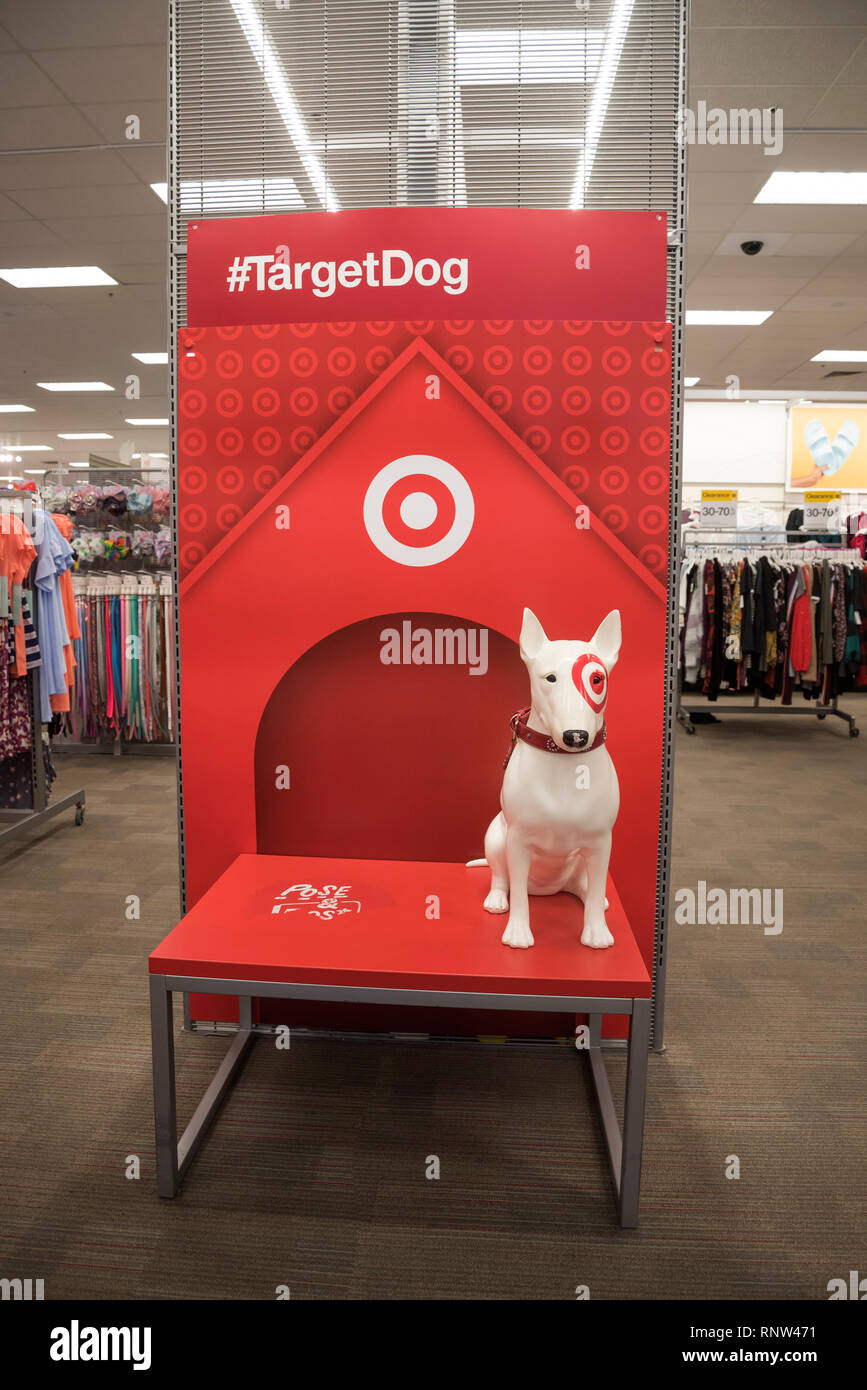 Stazione di posa per Target cane immagini all'interno di negozio in North Florida. Foto Stock