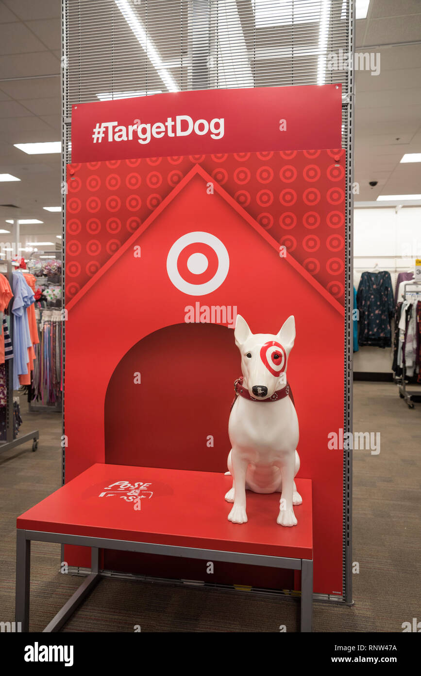 Stazione di posa per Target cane immagini all'interno di negozio in North Florida. Foto Stock