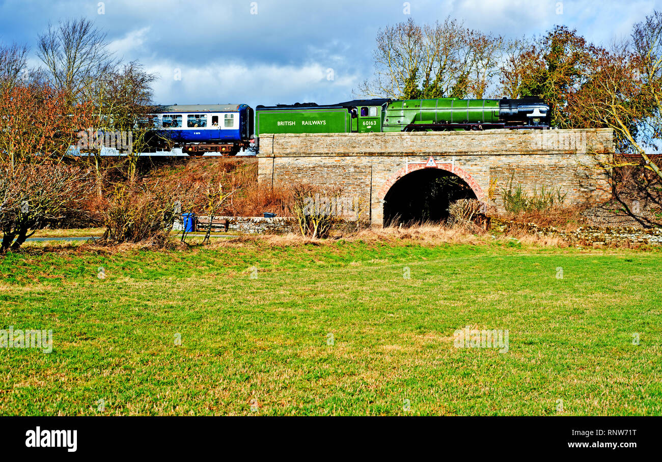 A1 Pacific n. 60163 Tornado a Spennithorne su Wensleydale Railway, North Yorkshire, Inghilterra, 16 Febbraio 2019 Foto Stock